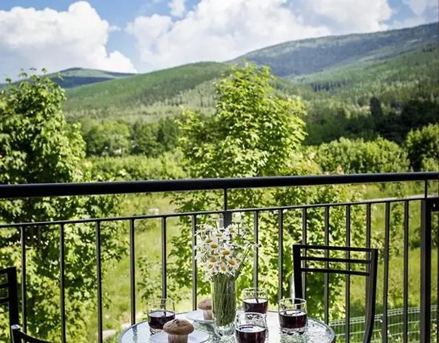 Konopnickiej 11/8 아파트